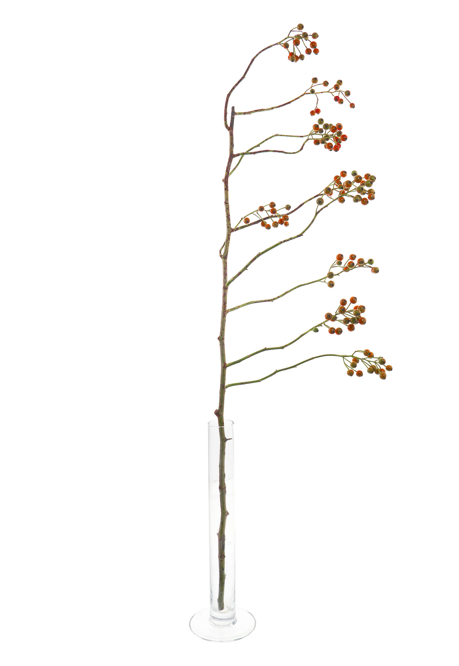 blumigo-hagebutten-corallo-gr-n-orange-roter-zweig image 8