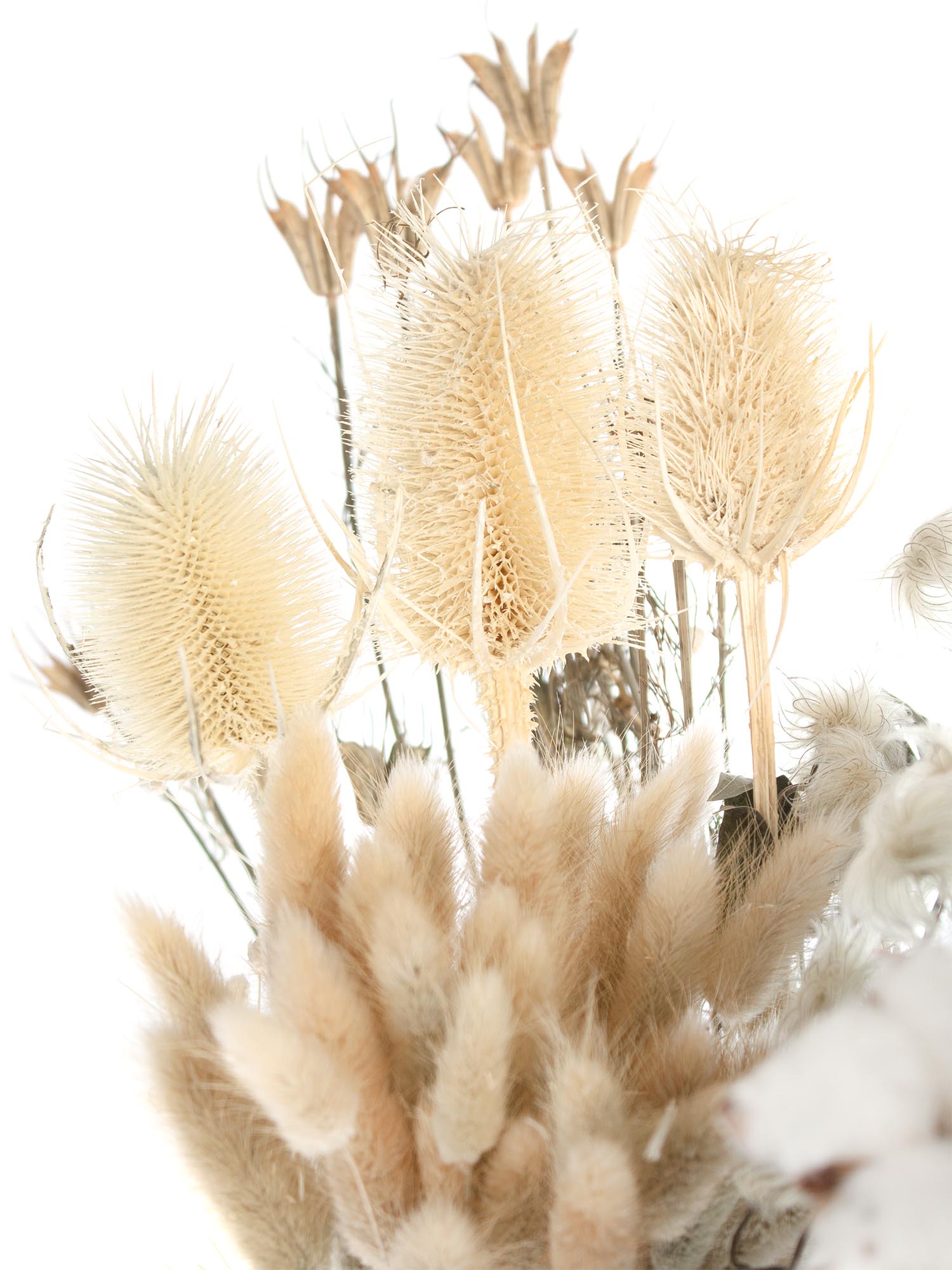 blumigo-berraschungsmixe-trockenblumen-berraschungsmix-getrocknet image 4