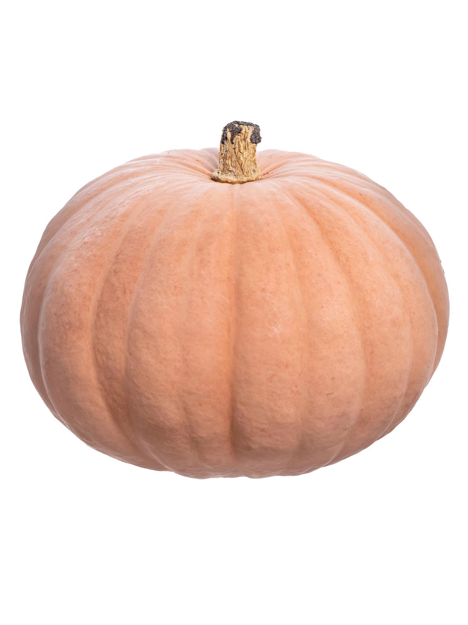 blumigo-herbstdeko-zierk-rbis-miss-sophie-apricot image 3