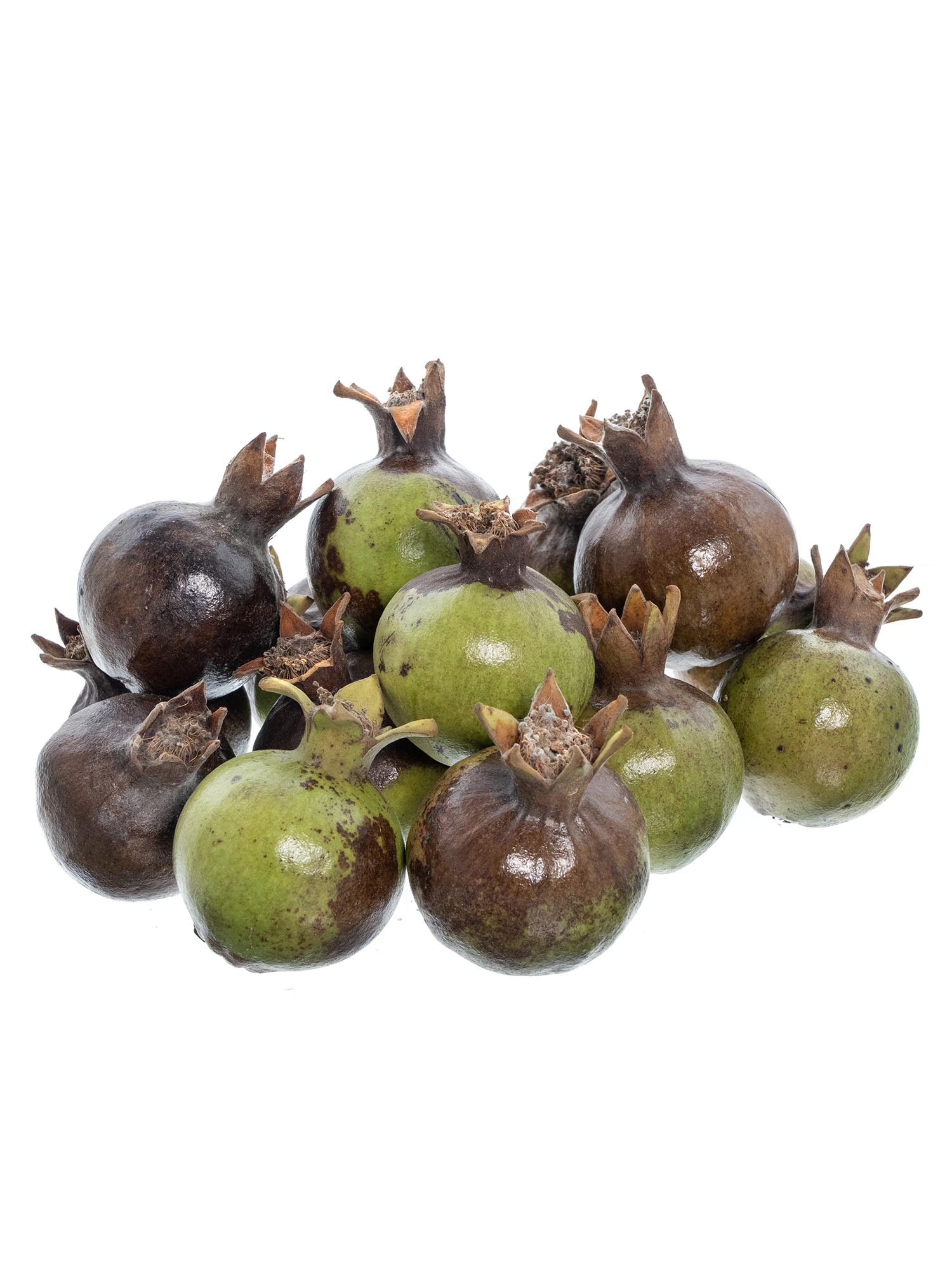 blumigo-blattwerk-zierfr-chte-granat-pfel-bindegr-n-gr-n image 3