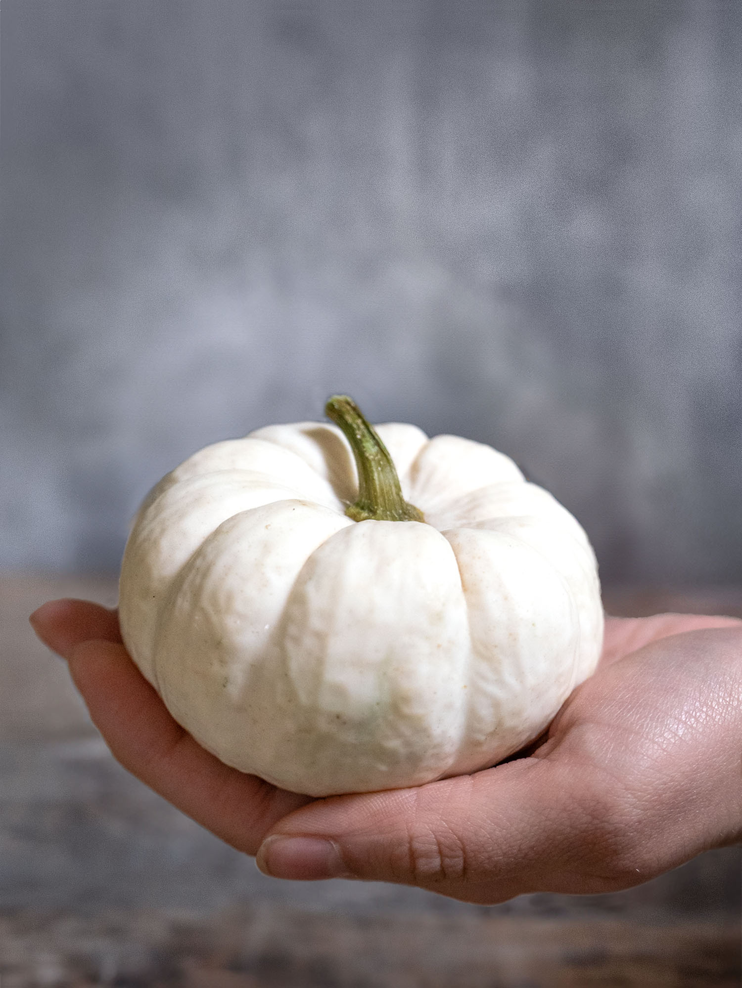 blumigo-herbstdeko-zierk-rbis-baby-boo-wei-creme-klein image 1