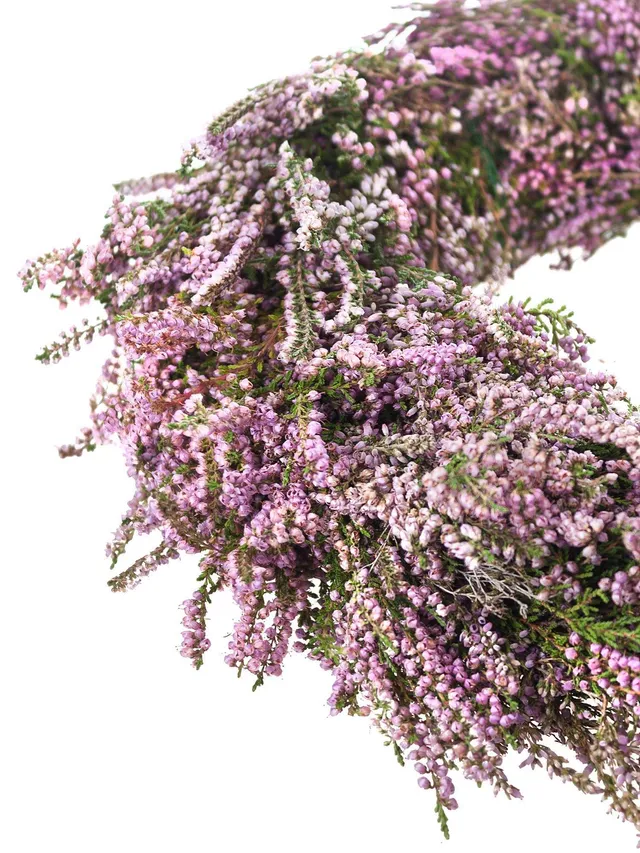 blumigo-diy-sets-erikakranz-25-cm-set-zum-selbermachen image 1
