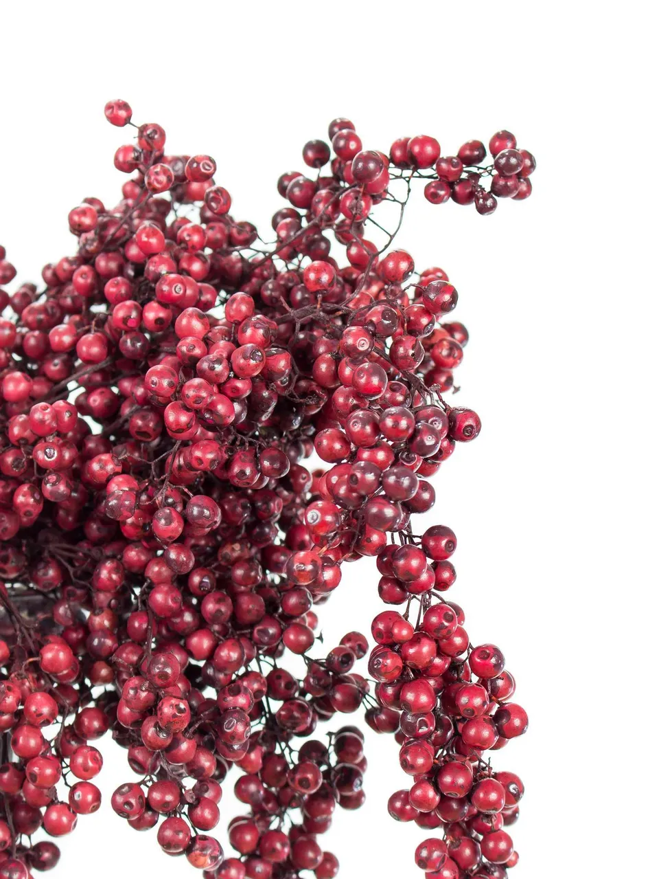 blumigo-trockenblumen-pfefferbeeren-bordeaux-violett image 1