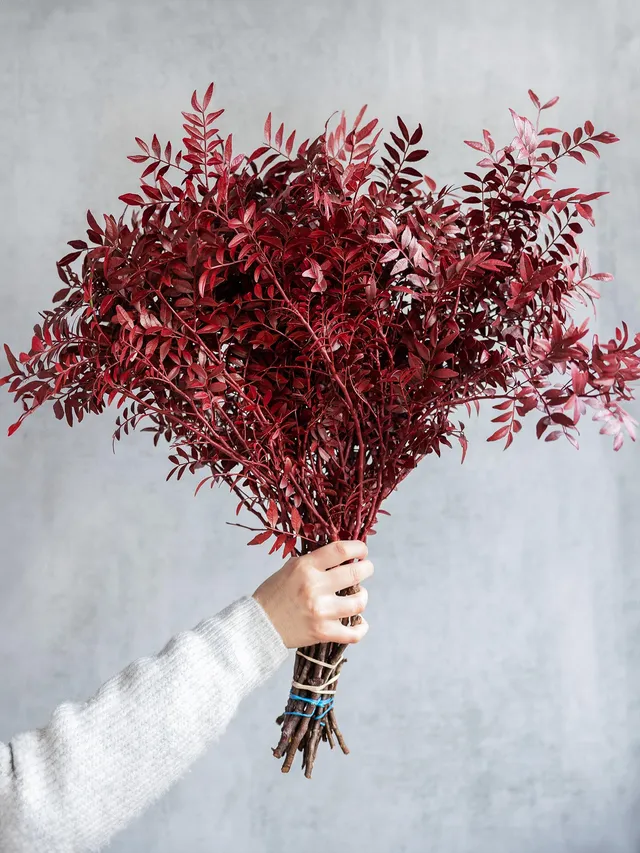 blumigo-exklusives-greenery-pistazie-zweige-rot-gef-rbt image 1