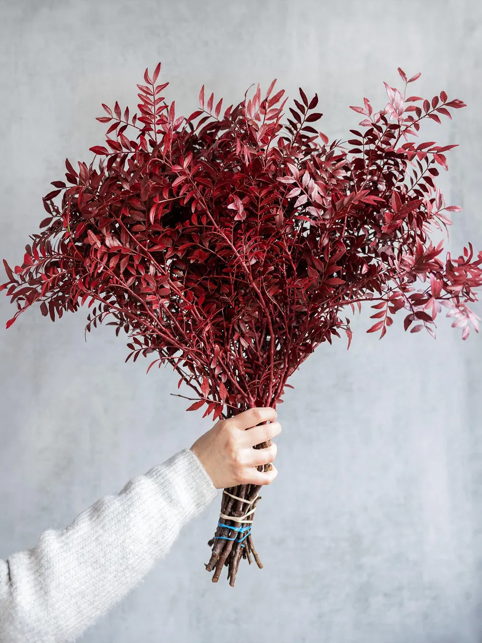 blumigo-exklusives-greenery-pistazie-zweige-rot-gef-rbt image 1