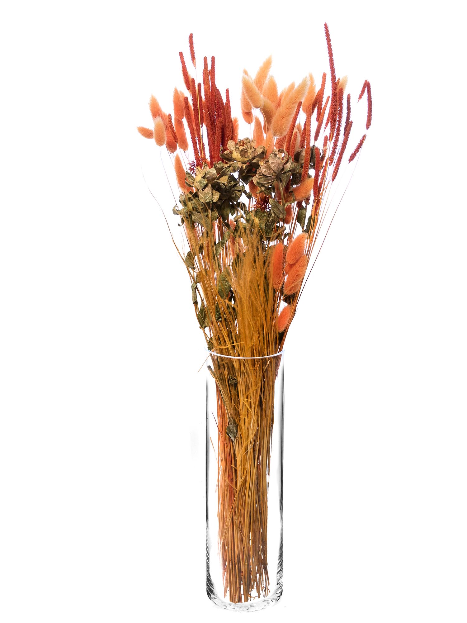 blumigo-trockenblumen-color-candy-mix-orange-trockenstrauss image 2