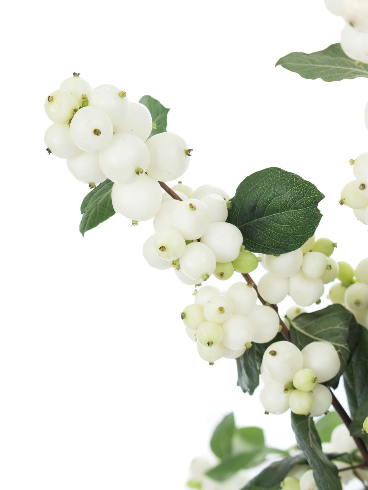 blumigo-exklusives-greenery-schneebeeren-magical-avalanche-wei-er-zweig image 4