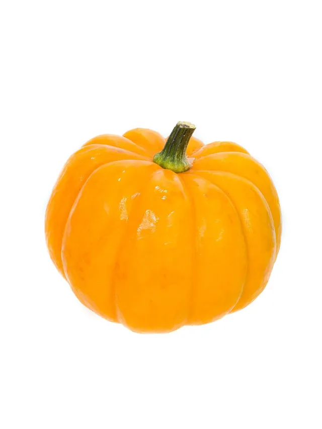 blumigo-herbstdeko-zierk-rbis-jack-be-little-orange image 1