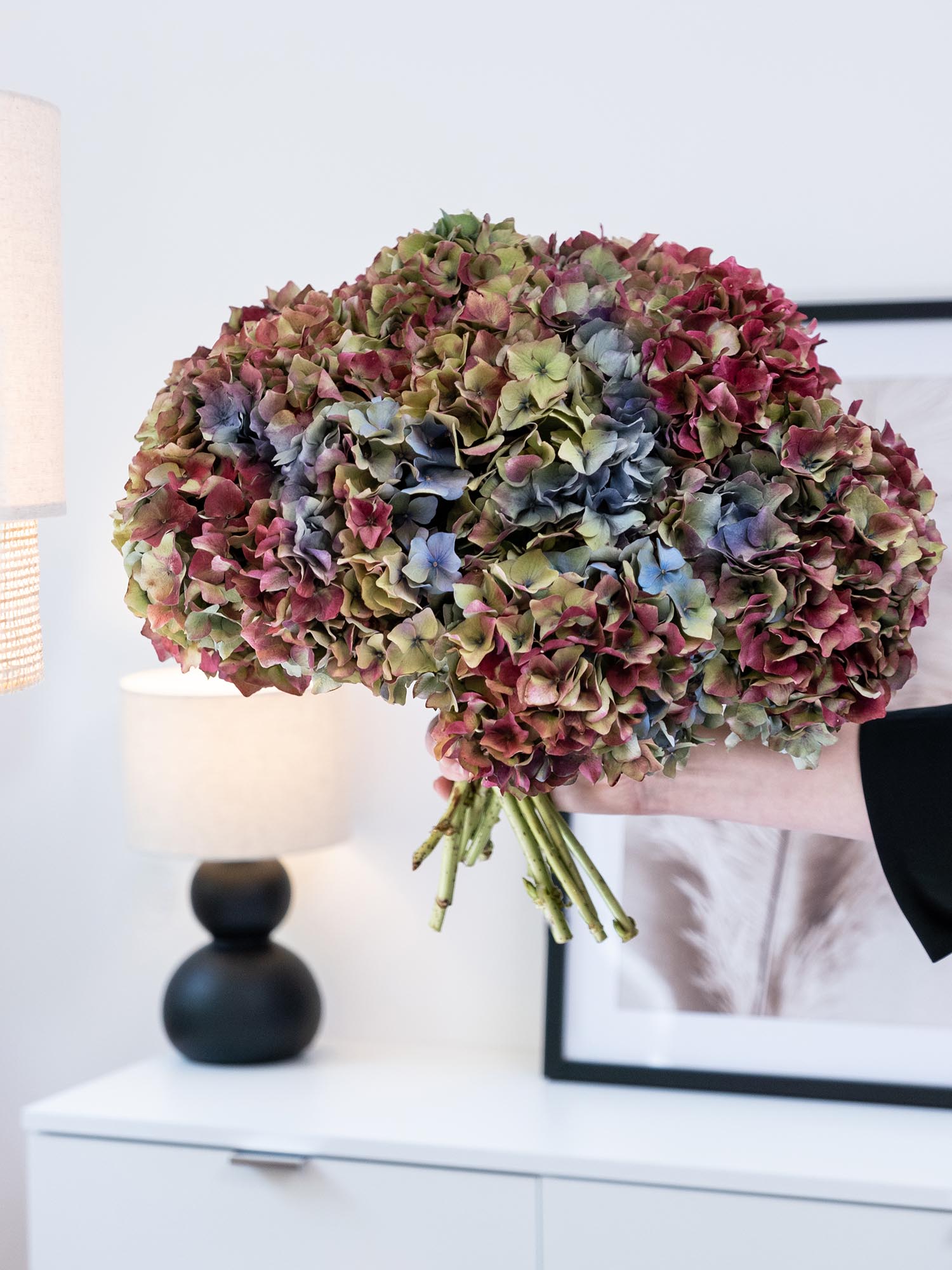 blumigo-hortensien-franz-sischer-farbmix-schnittblumen-5-st-ck image 3