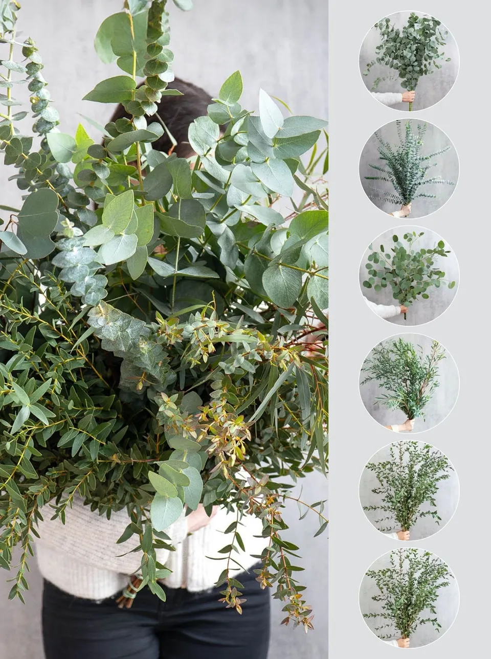 blumigo-eukalyptus-mix-6-bund-gemischt-schnittgr-n image 1