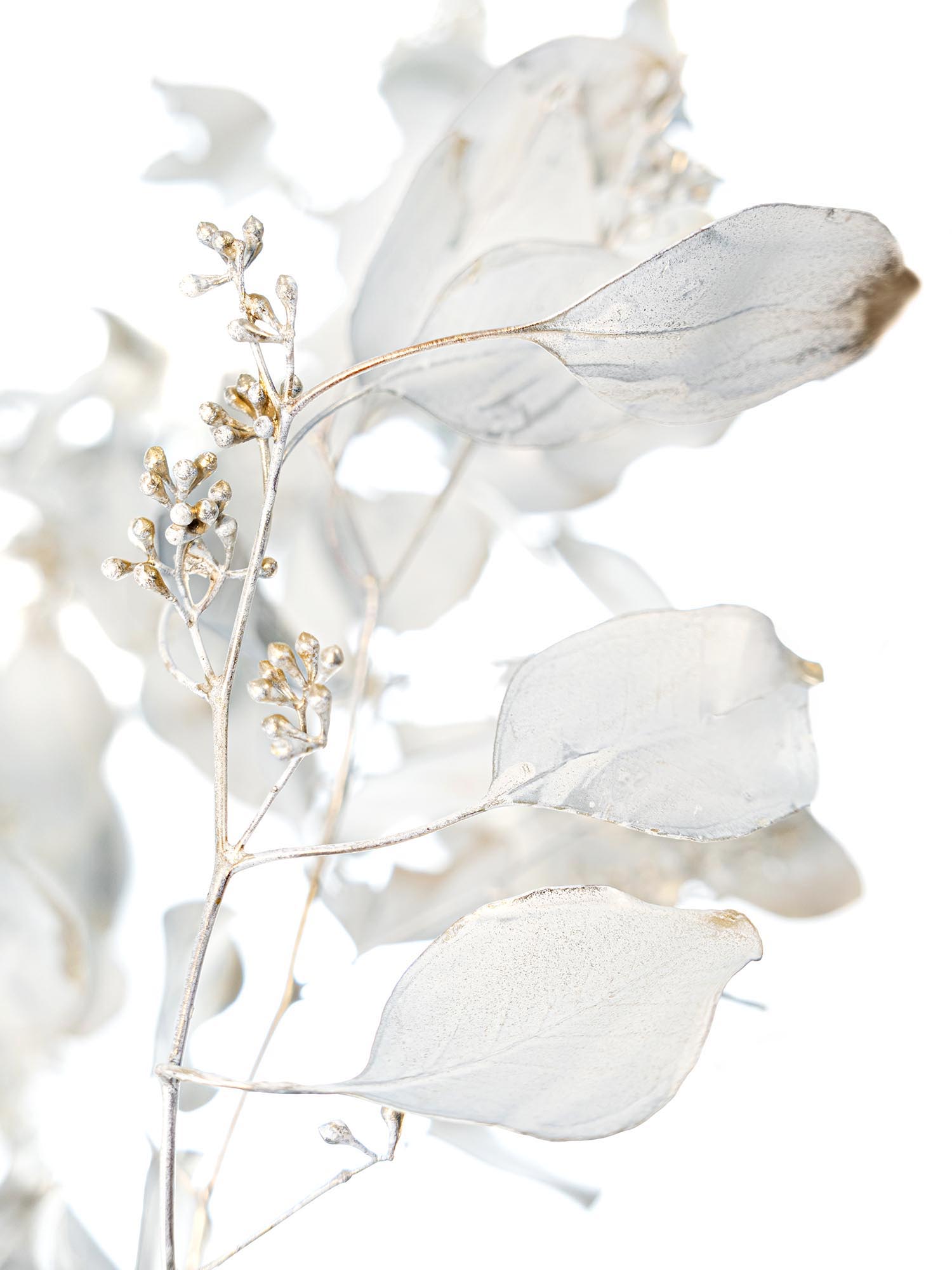 blumigo-eukalyptus-populus-mit-beeren-antik-gold image 1