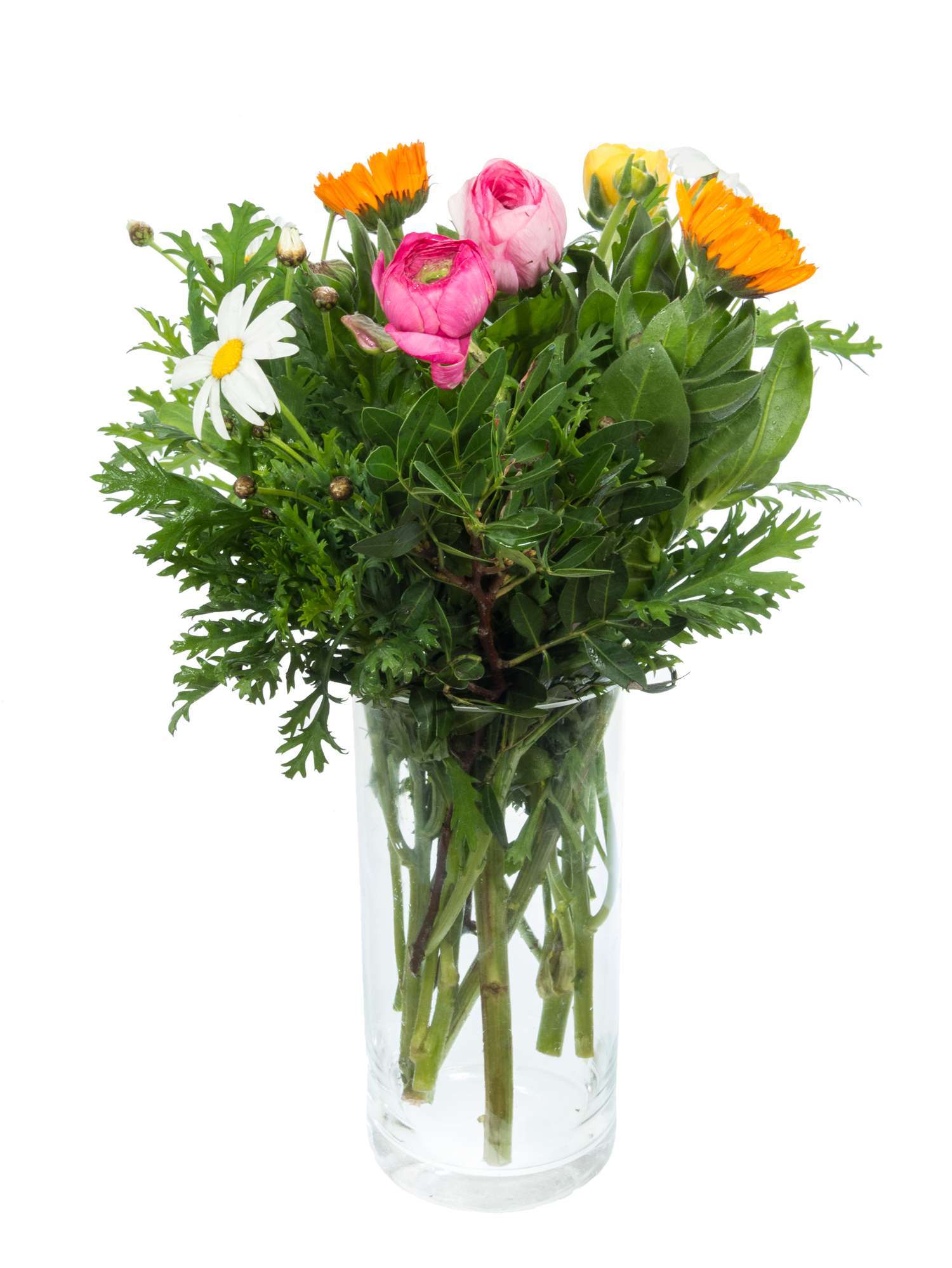 blumigo-berraschungsmix-italienische-fr-hlingsmischung image 5