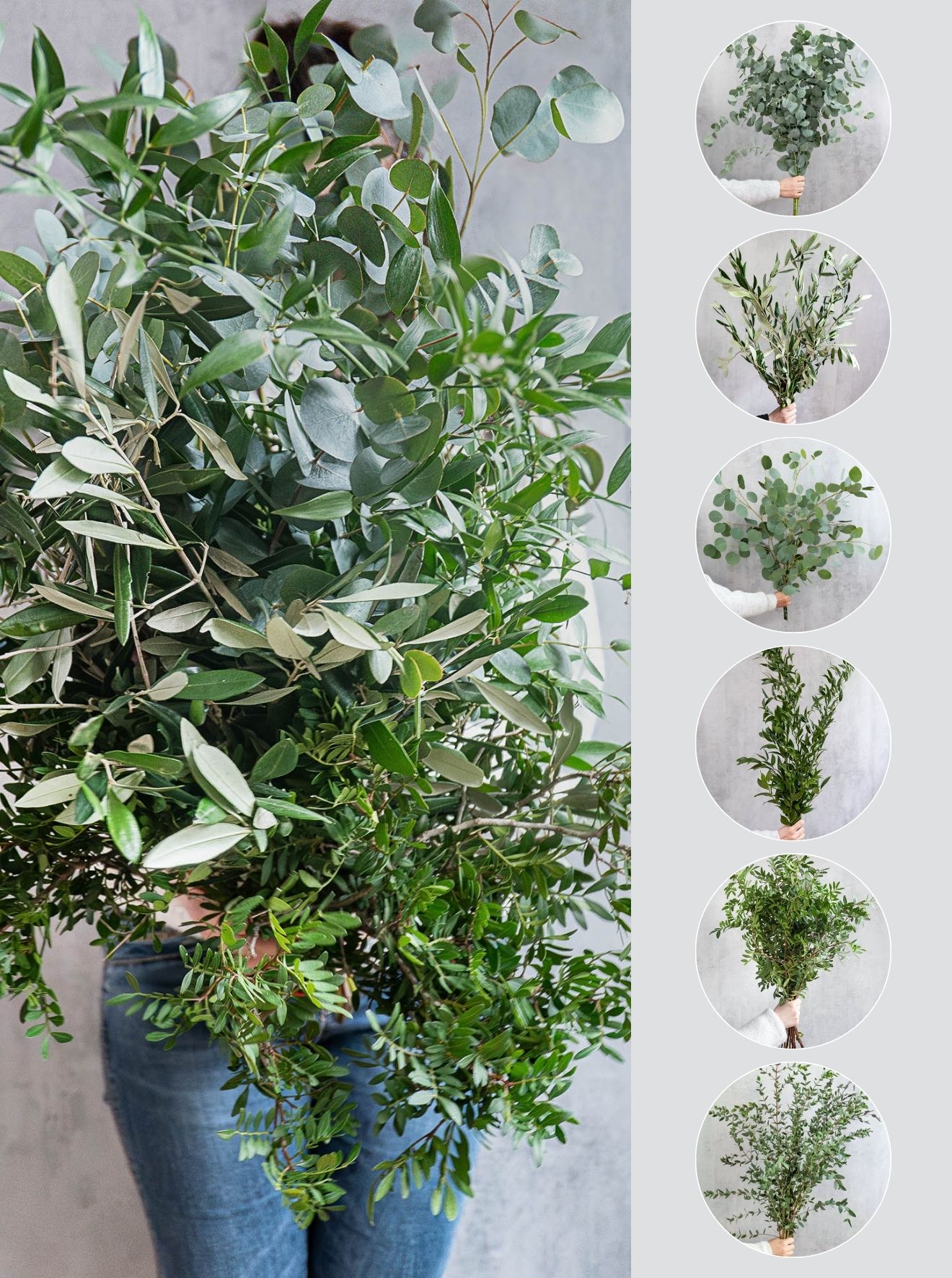 blumigo-blattwerk-und-bindegr-n-greenery-mix-bindegr-n-6-bund-gemischt image 1