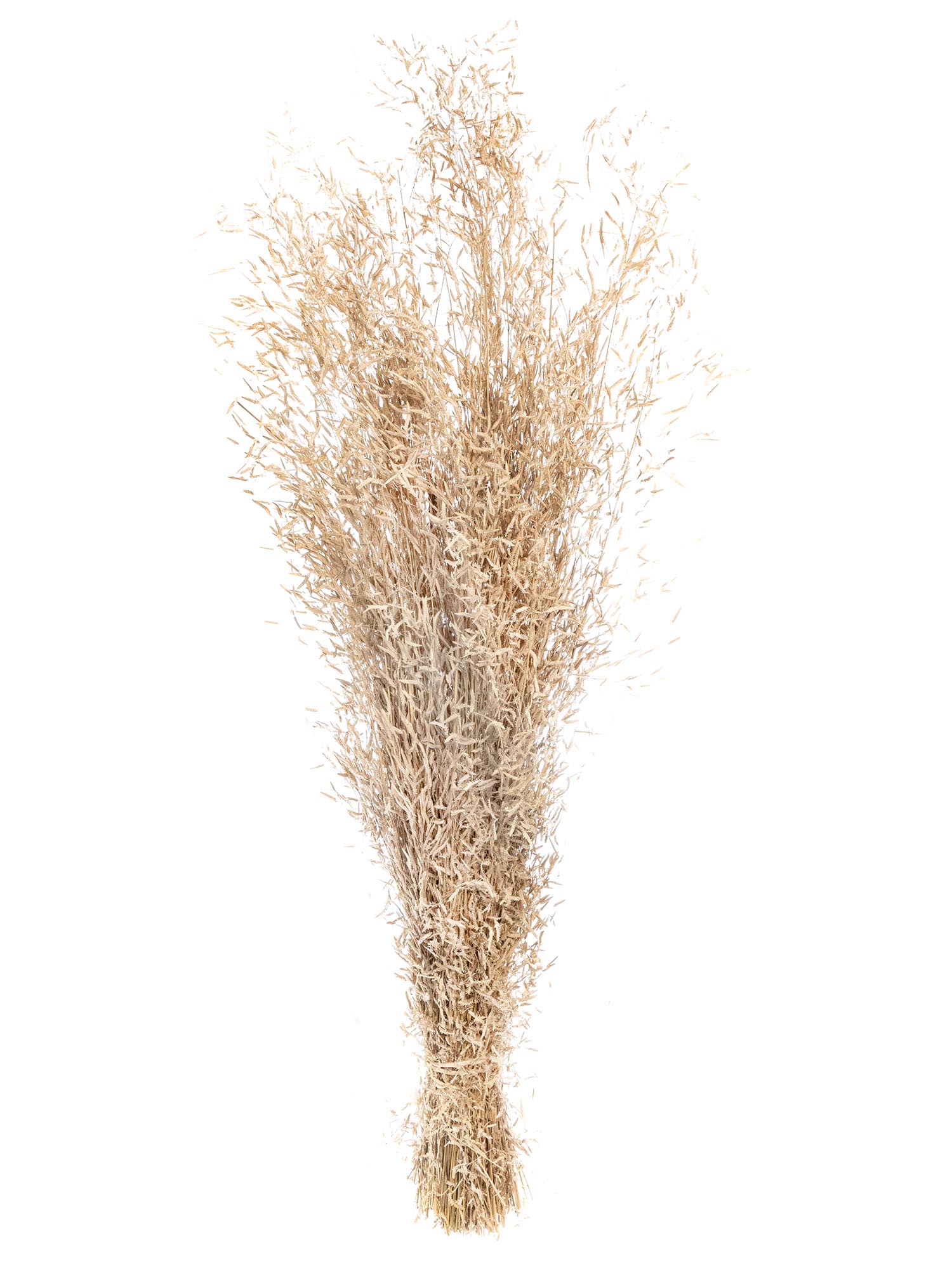 blumigo-trockenblumen-munii-gras-getrocknet-natur-braun image 3