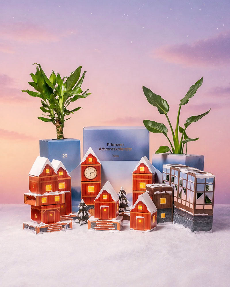 feey-variado-pflanzen-adventskalender-winterdorf-im-morgenrot-24-t-rchen image 8