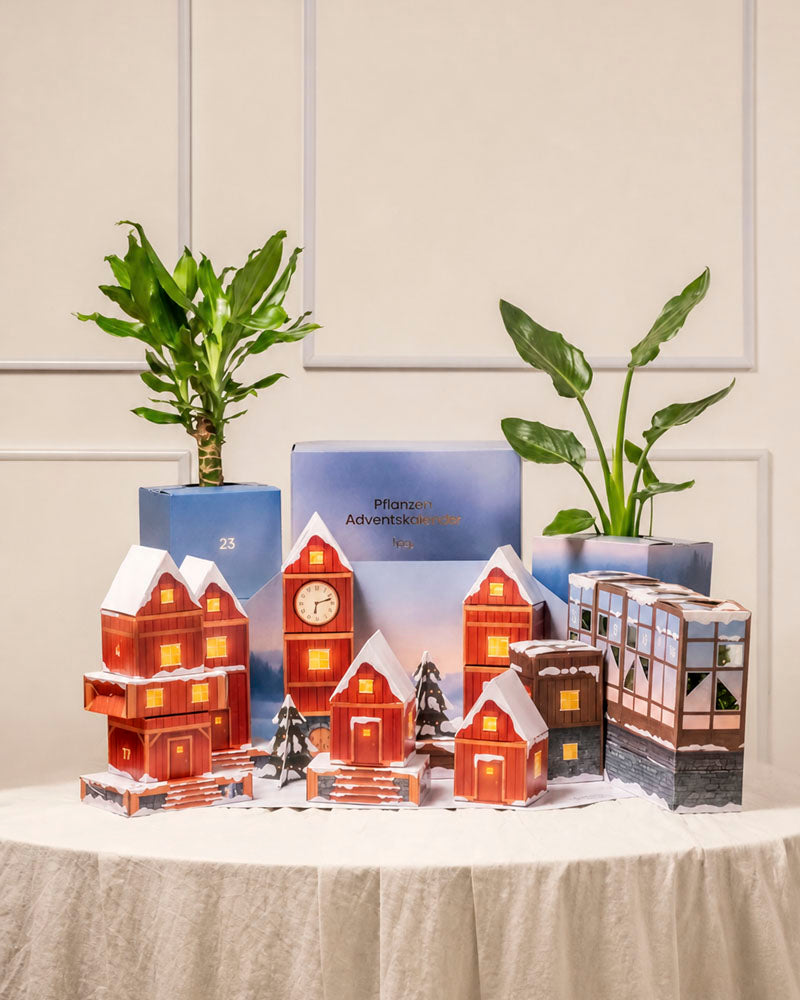 feey-variado-pflanzen-adventskalender-winterdorf-im-morgenrot-24-t-rchen image 1