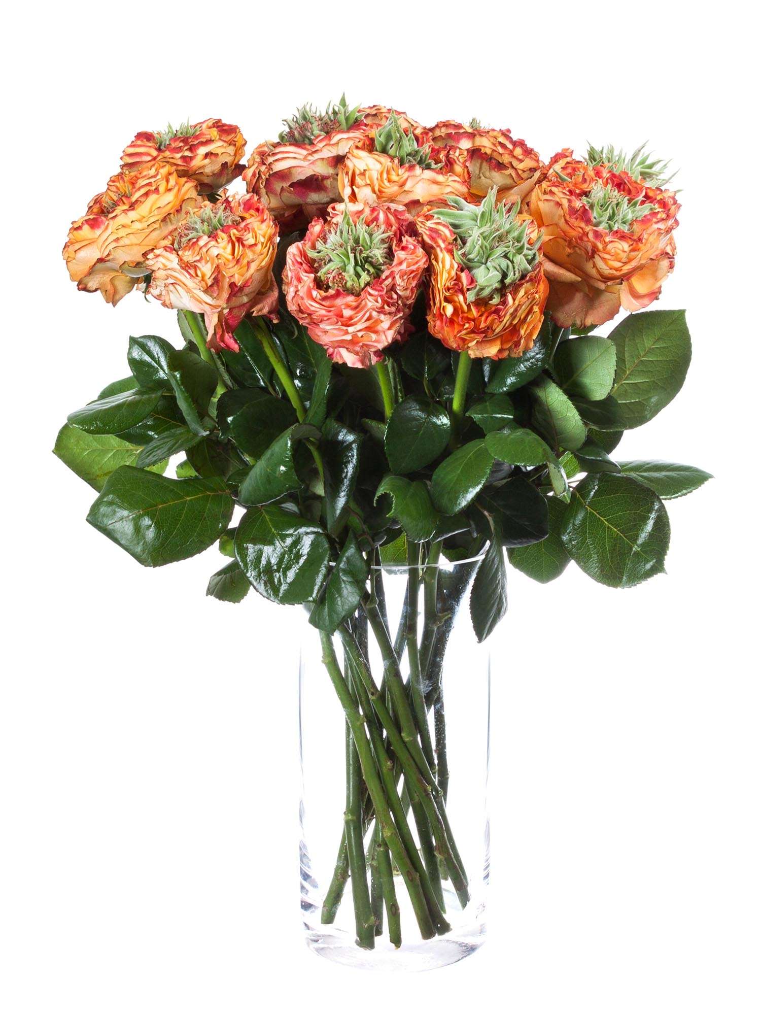 blumigo-rosen-flash-eye-orange-rot-schnittblume-in-orange image 2