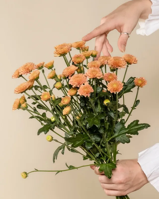 feey-rilio-chrysanthemen-pfirsich-blumenstrau image 1