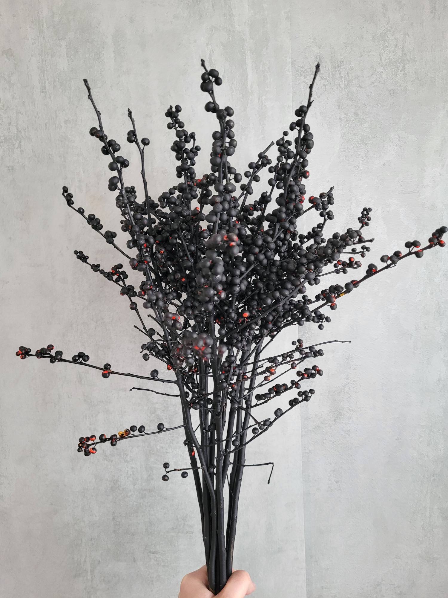 blumigo-zweige-ilex-painted-deko-zweige-schwarz image 3
