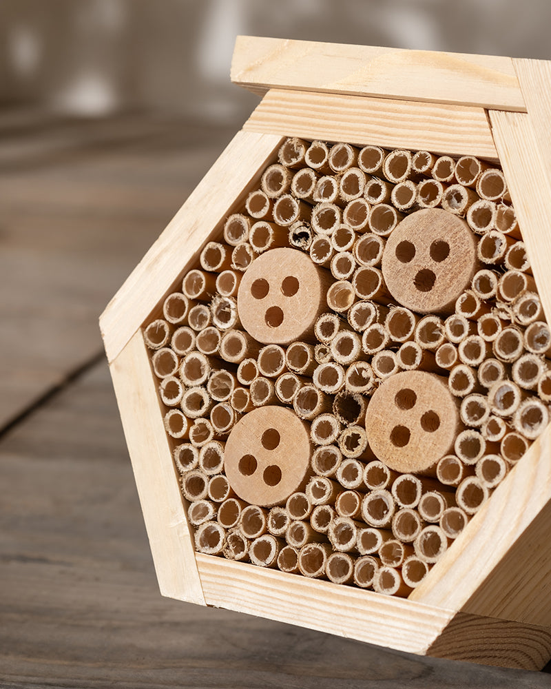 feey-lumi-forsisens-insektenhotel-holz-f-r-wildbienen-22cm image 4