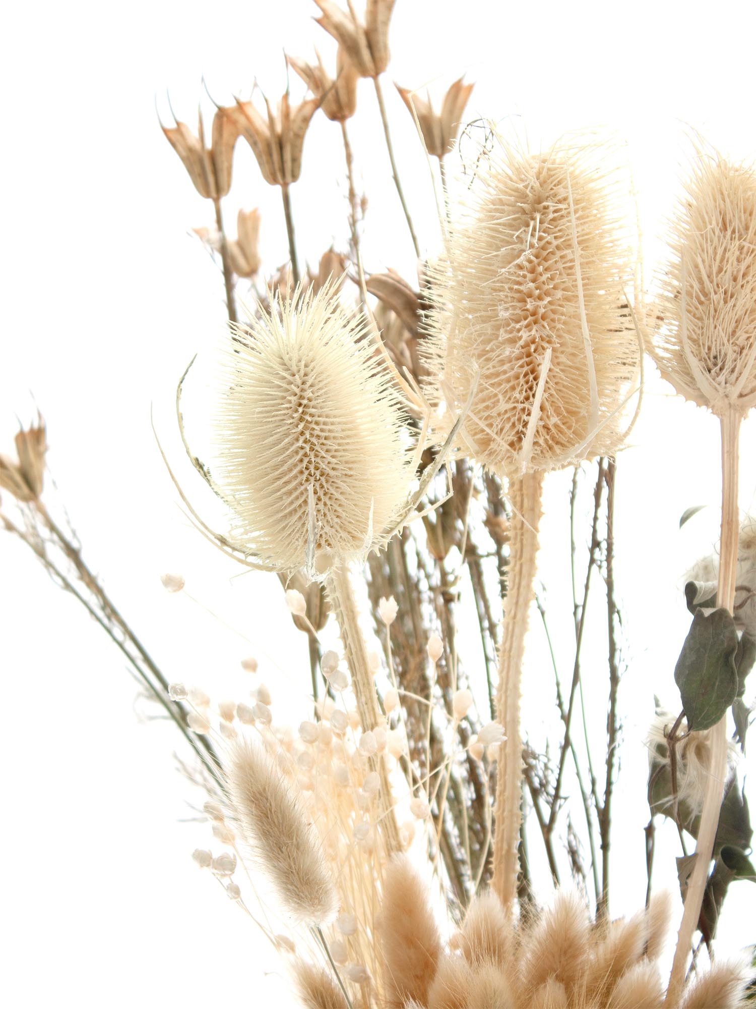blumigo-berraschungsmixe-trockenblumen-berraschungsmix-getrocknet image 5