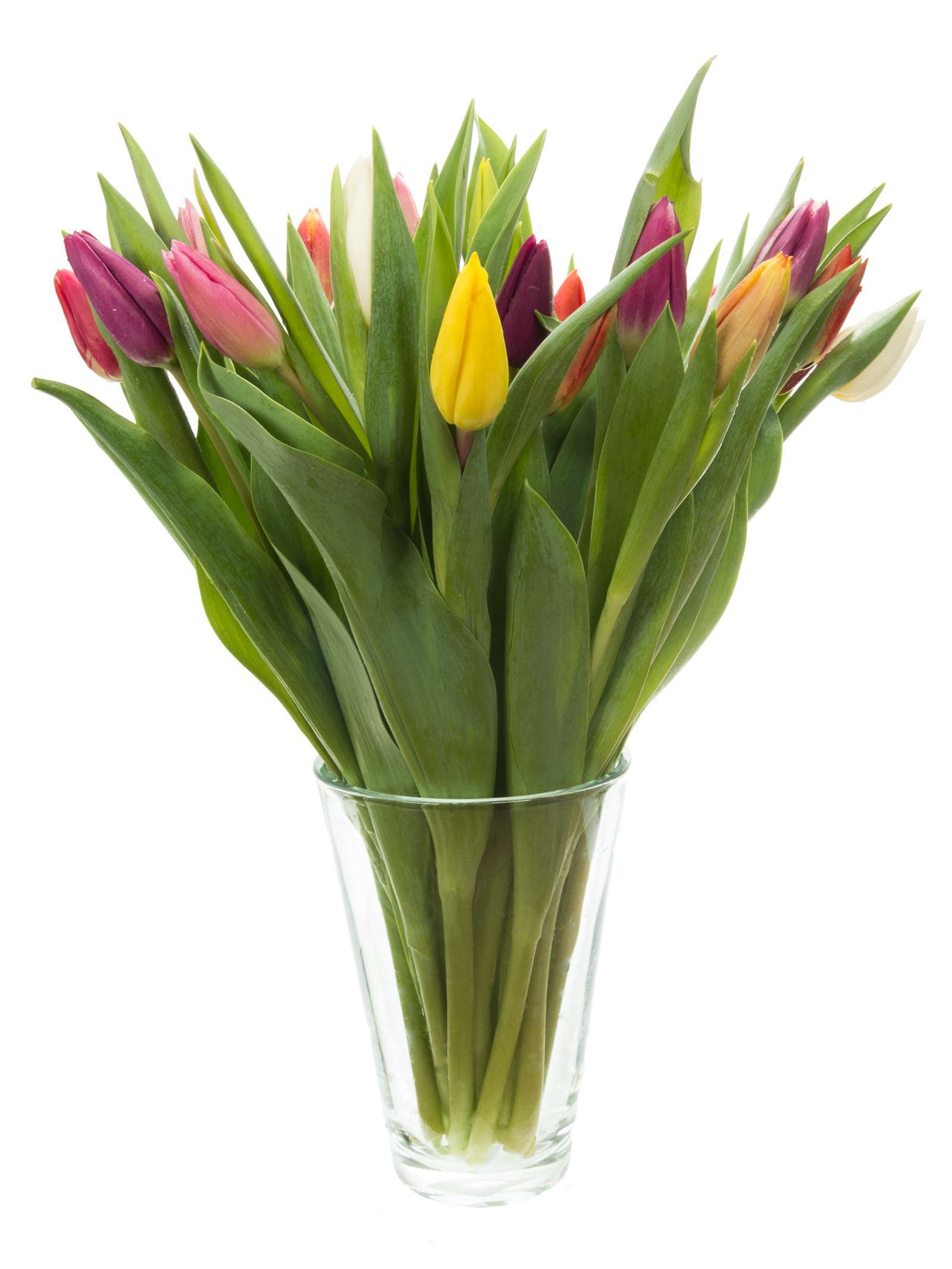 blumigo-tulpen-bunte-mischung-schnittblumen-bund image 2