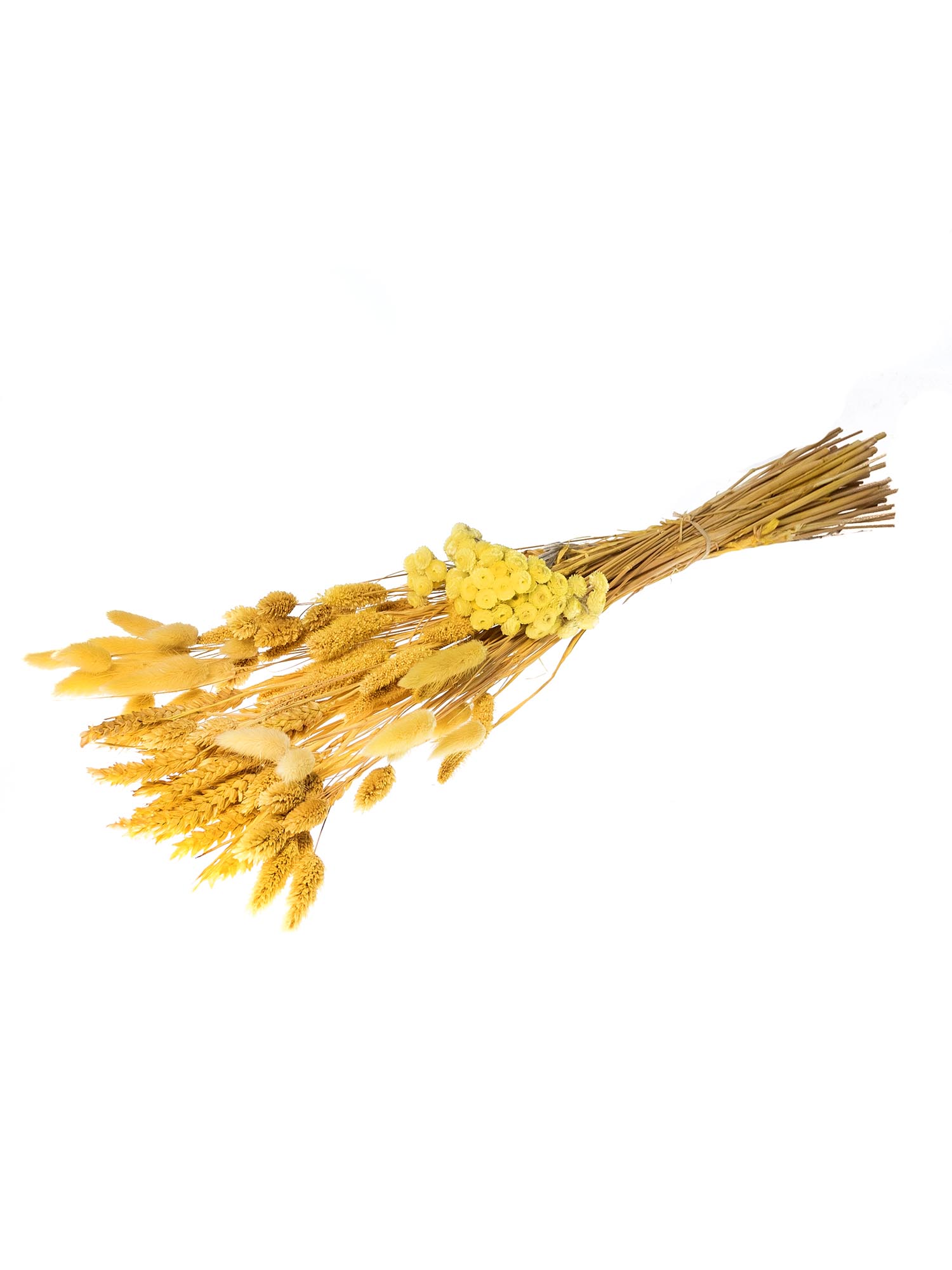 blumigo-trockenblumen-indian-mustard-mix-trockenstrau-gelb image 3