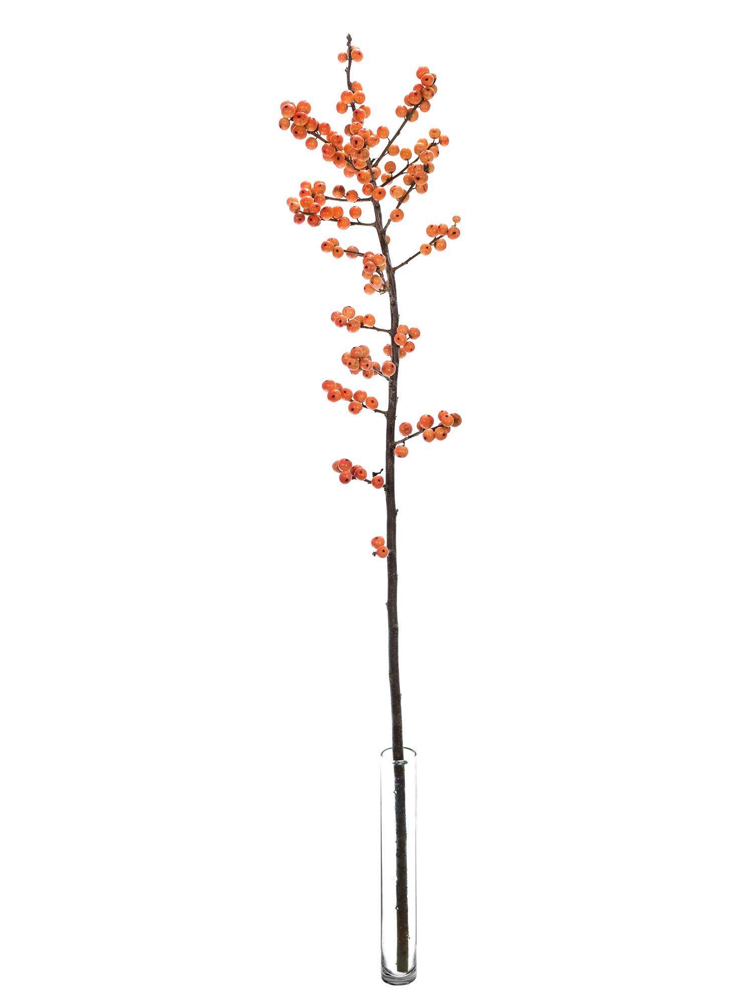 blumigo-zweige-ilex-oudj-orange-schnittzweig-orange image 3