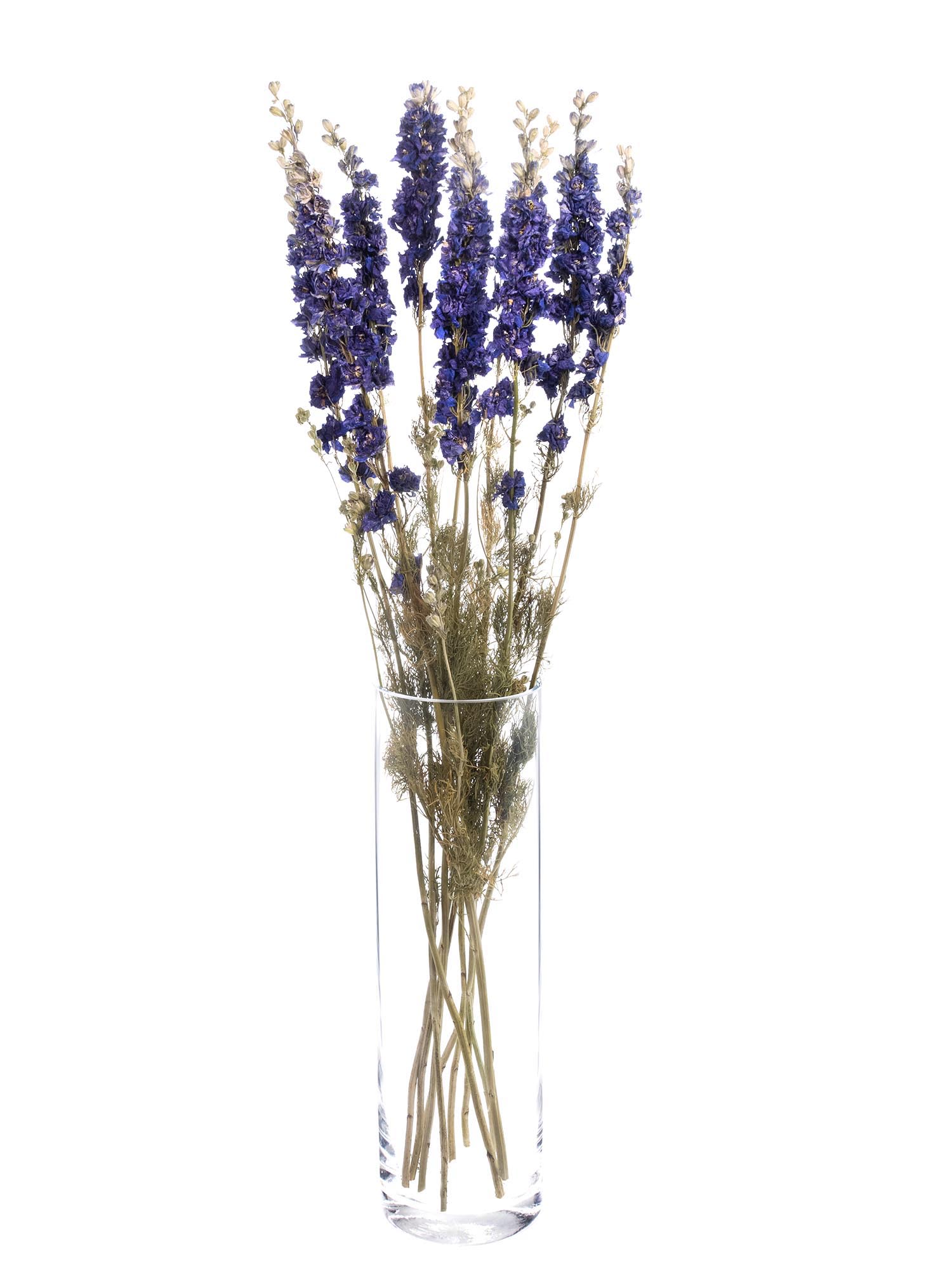 blumigo-trockenblumen-rittersporn-delphinium-getrocknet-blau image 2