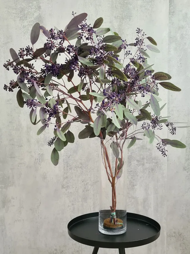 blumigo-eukalyptus-populus-schnittgr-n-beeren-violett image 1