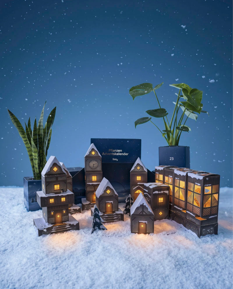 feey-variado-adventskalender-winterdorf-zimmerpflanzen image 8