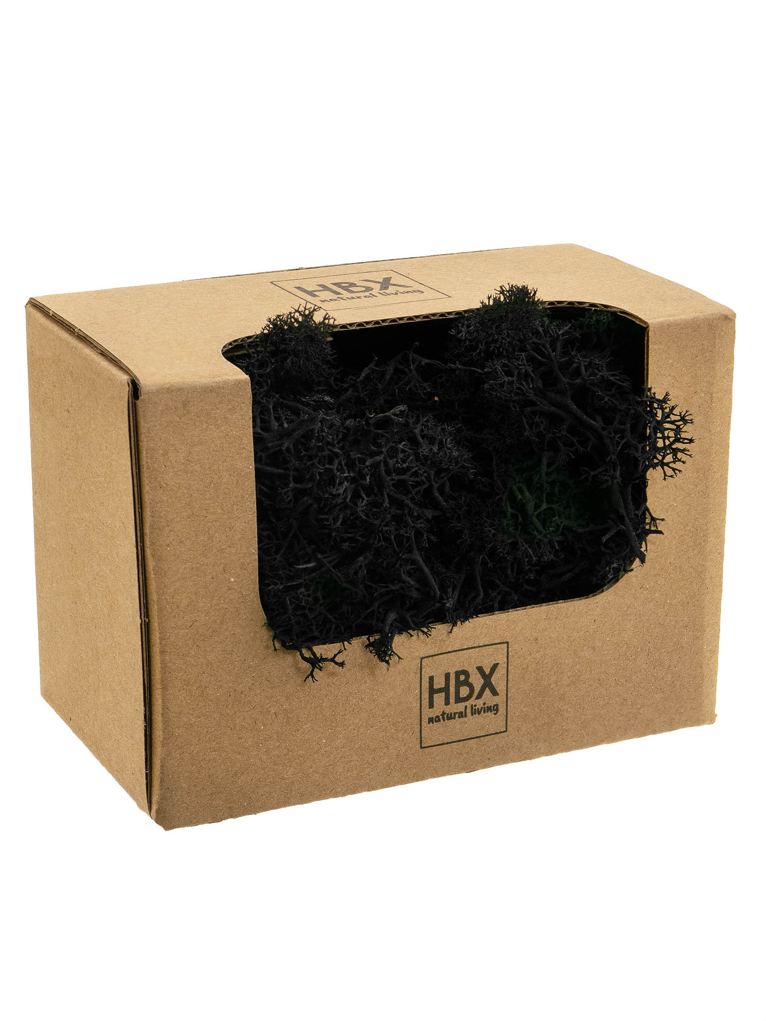 blumigo-moos-islandmoos-schwarzes-dekomaterial image 1