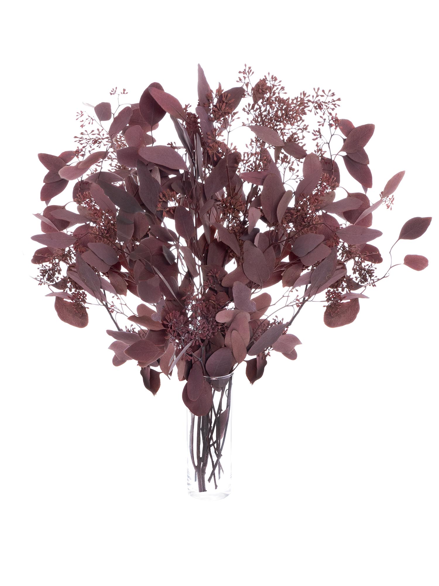 blumigo-eukalyptus-populus-beeren-trockenblumen-rot-konserviert image 2