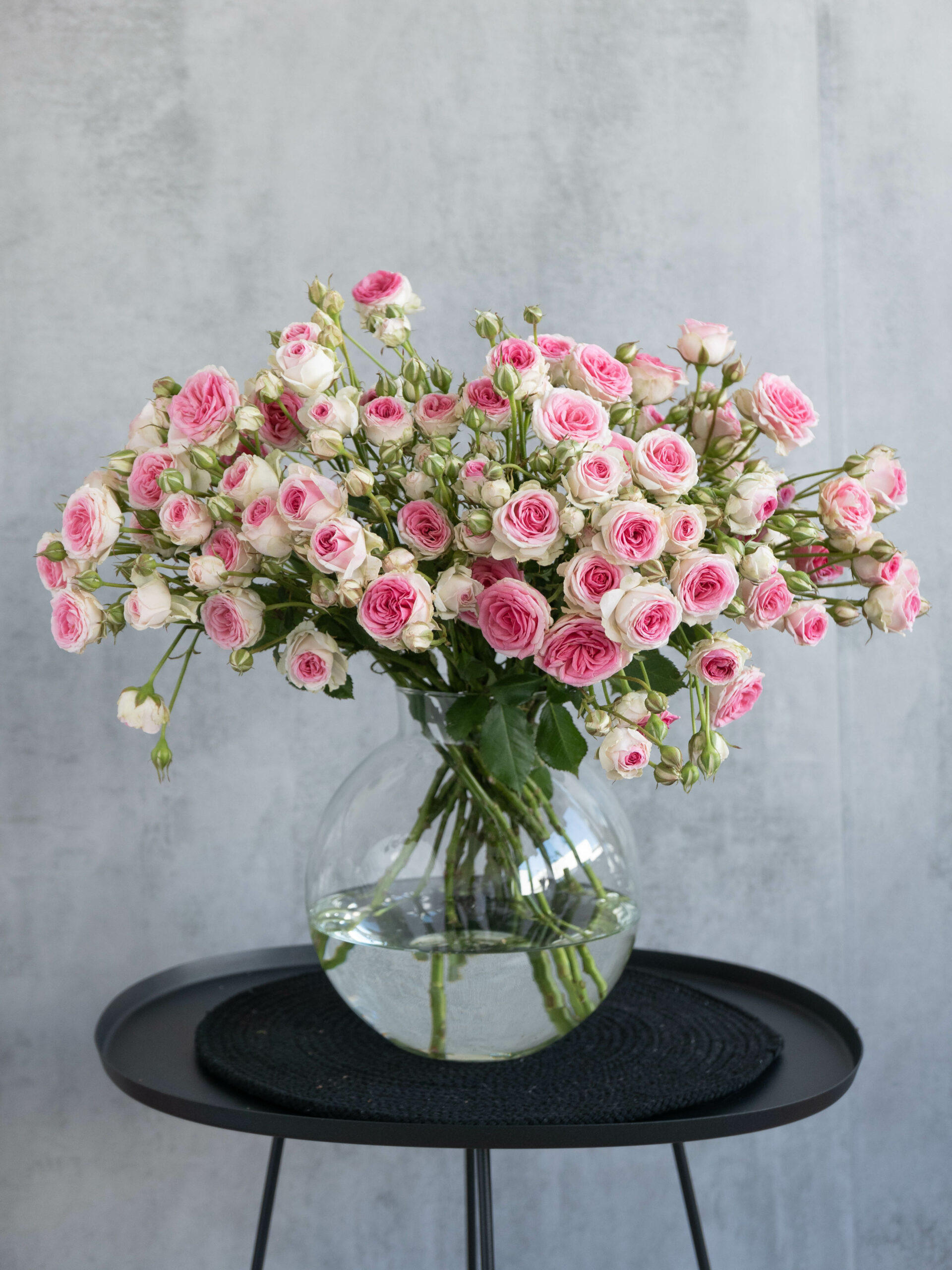 blumigo-rosen-mimi-eden-schnittrose-rosa-wei-verzweigt image 3