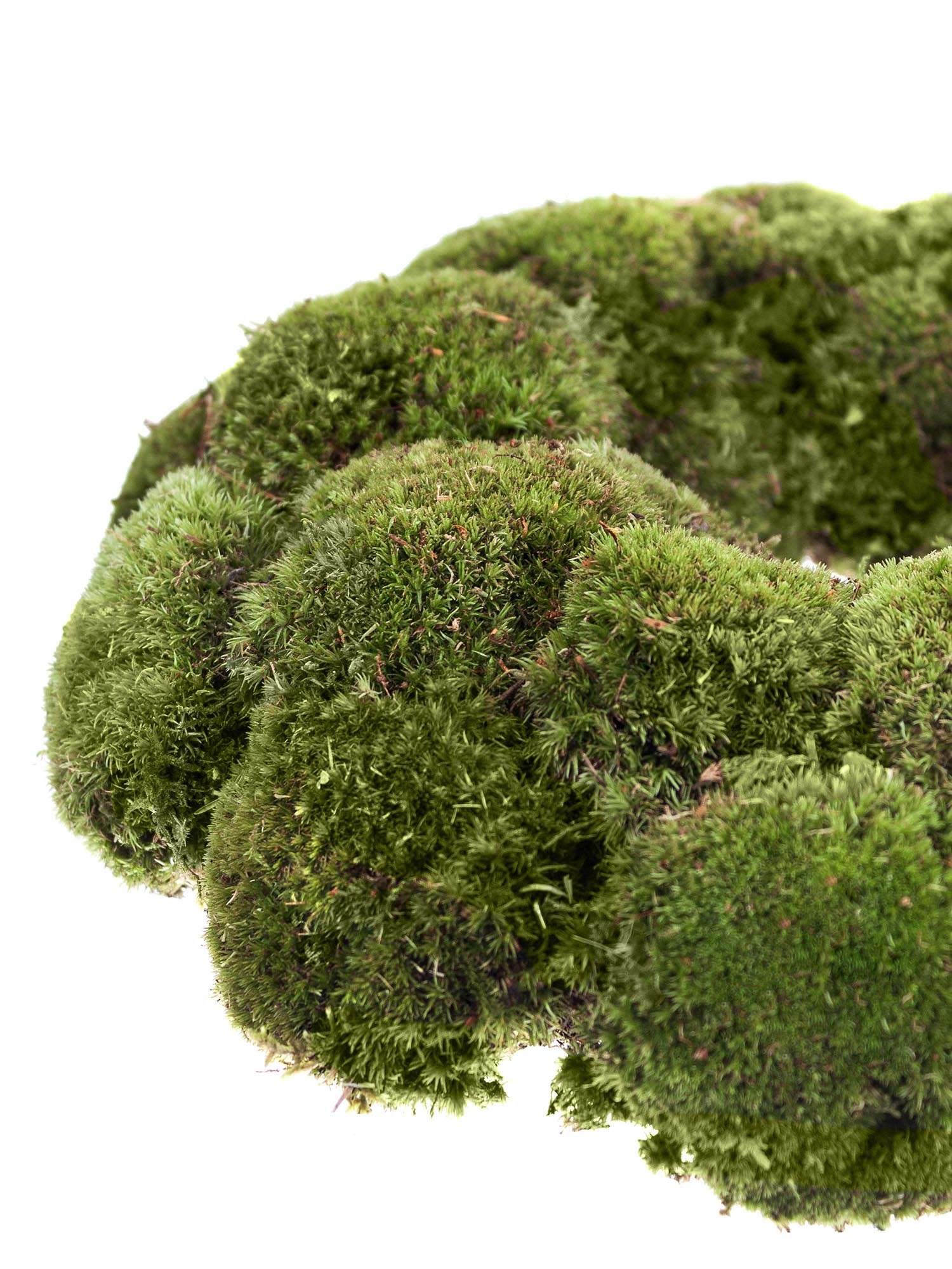 blumigo-moos-zierkranz-bollmoos-30-cm-rohling image 1