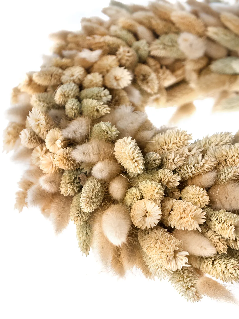 blumigo-trockenblumen-lagurus-phalaris-kranz-getrocknet image 1