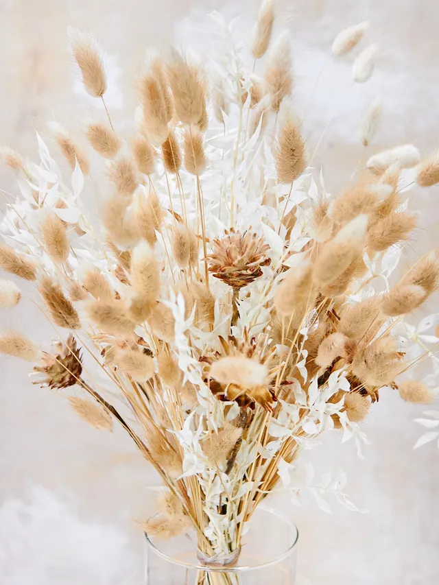 blumigo-berraschungsmixe-winter-simplicity-bouquet-trockenstrau image 1