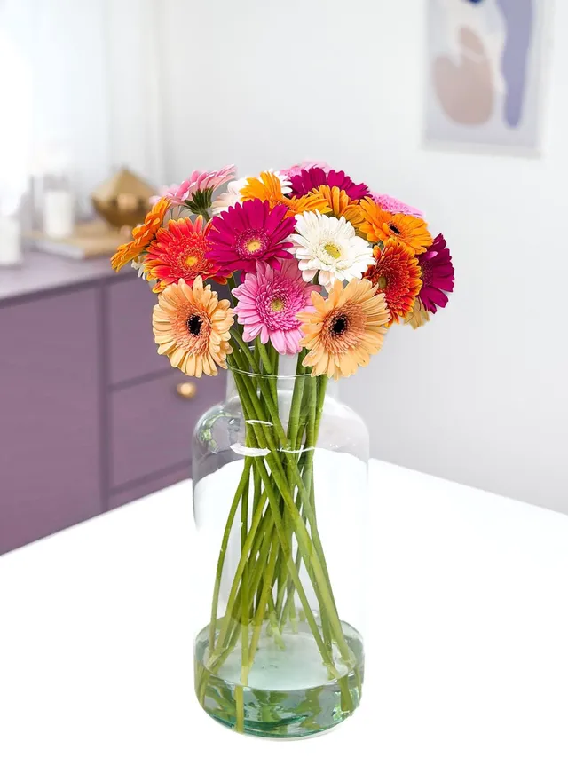 blumigo-gerbera-mini-bunte-mischung-schnittblume image 1