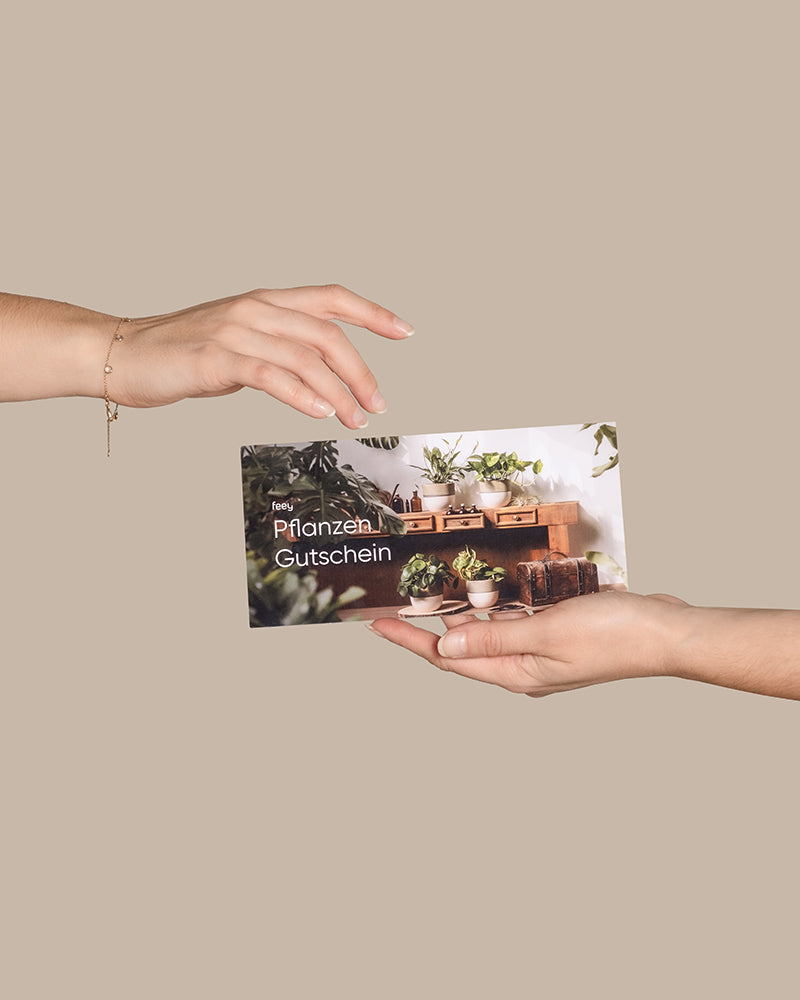 feey-lumi-gutschein-20-euro-motiv-danke-geschenkkarte image 8