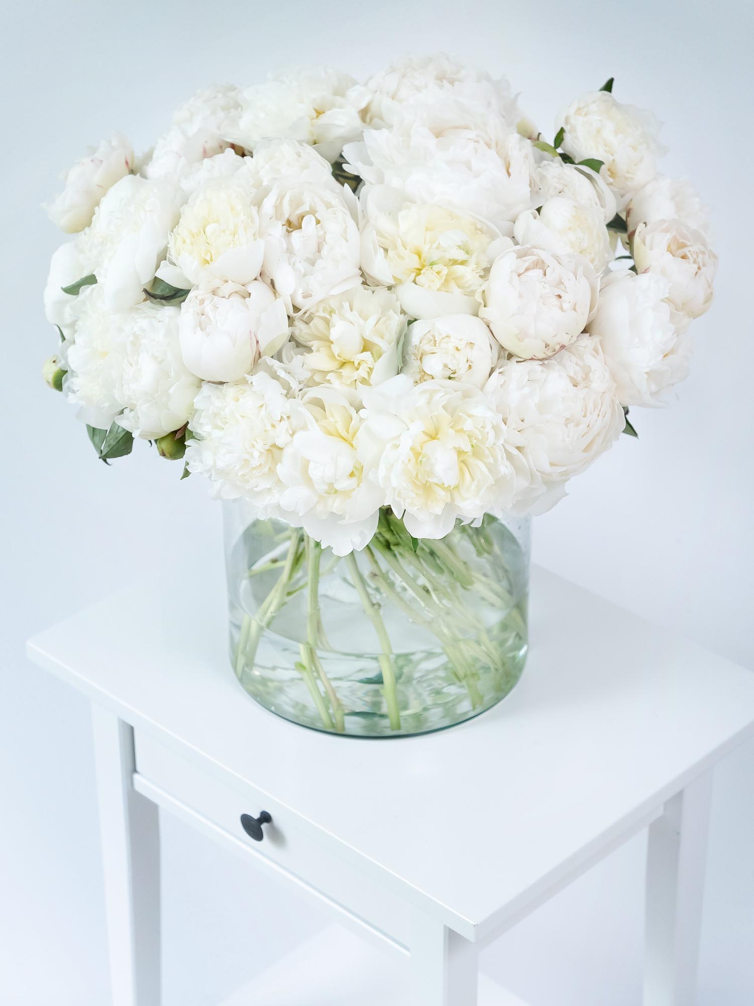 blumigo-pfingstrosen-bowl-of-cream-schnittblumen-creme-wei image 2