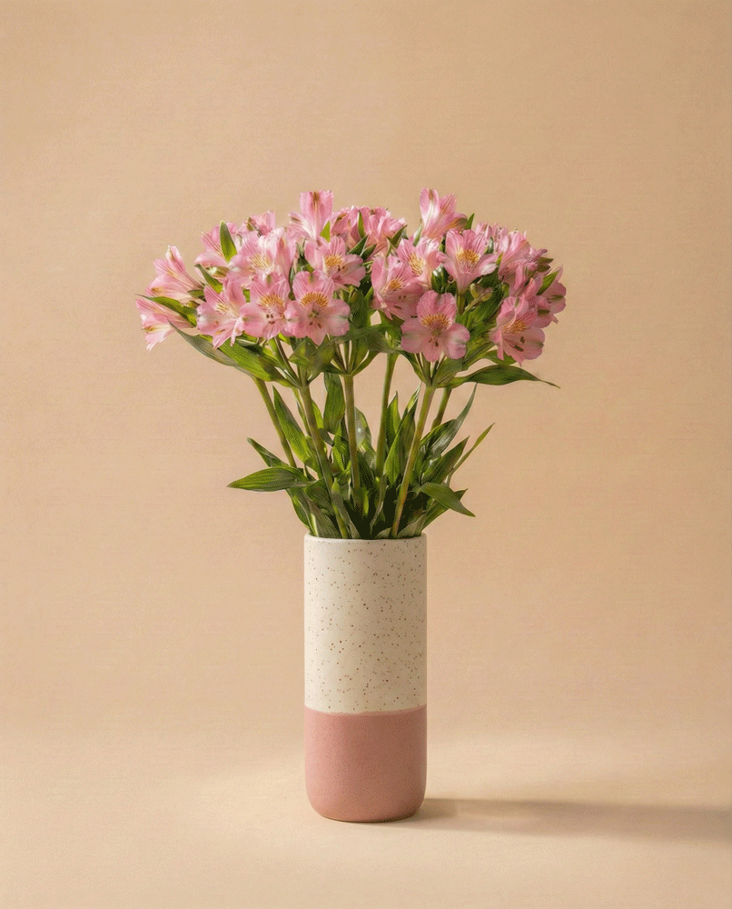 feey-rilio-alstroemeria-rosa-schnittblumen-default image 4