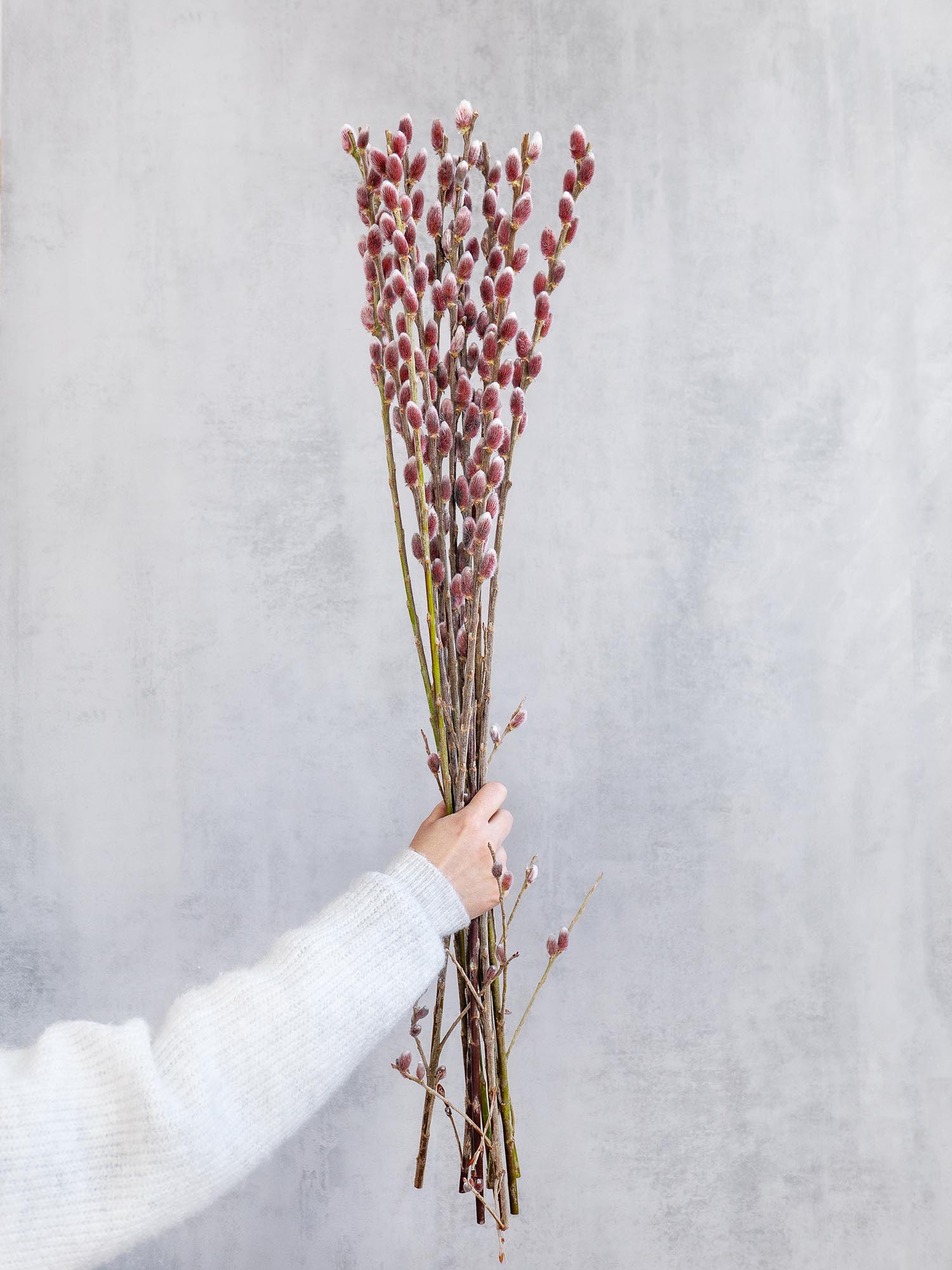 blumigo-weidenk-tzchen-red-passion-rot-silber-zweig image 1