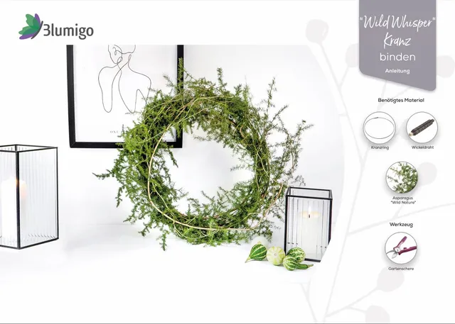 blumigo-diy-sets-wild-whisper-asparaguskranz-anleitung image 1