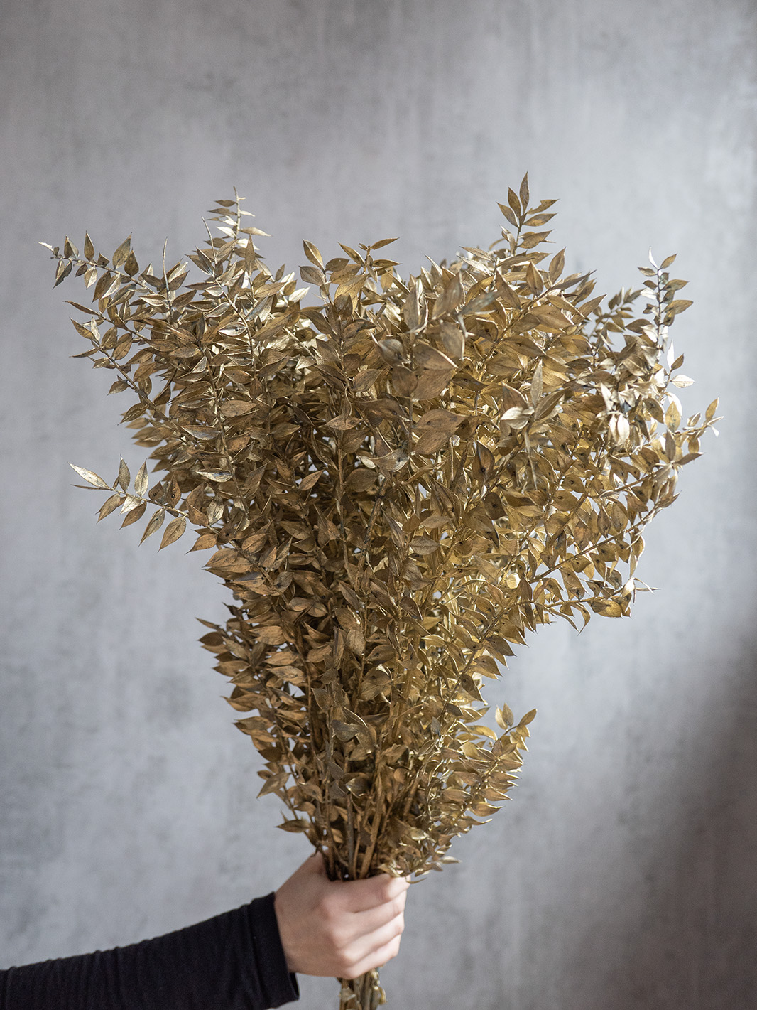 blumigo-ruscus-trockenblumen-getrocknet-gef-rbt-gold image 3