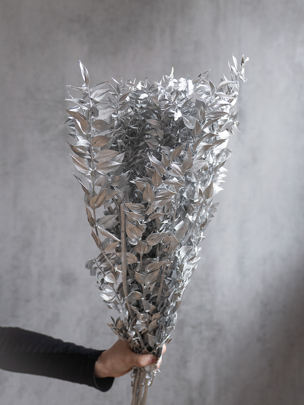blumigo-ruscus-m-usedorn-trockenblumen-silber-gef-rbt image 3