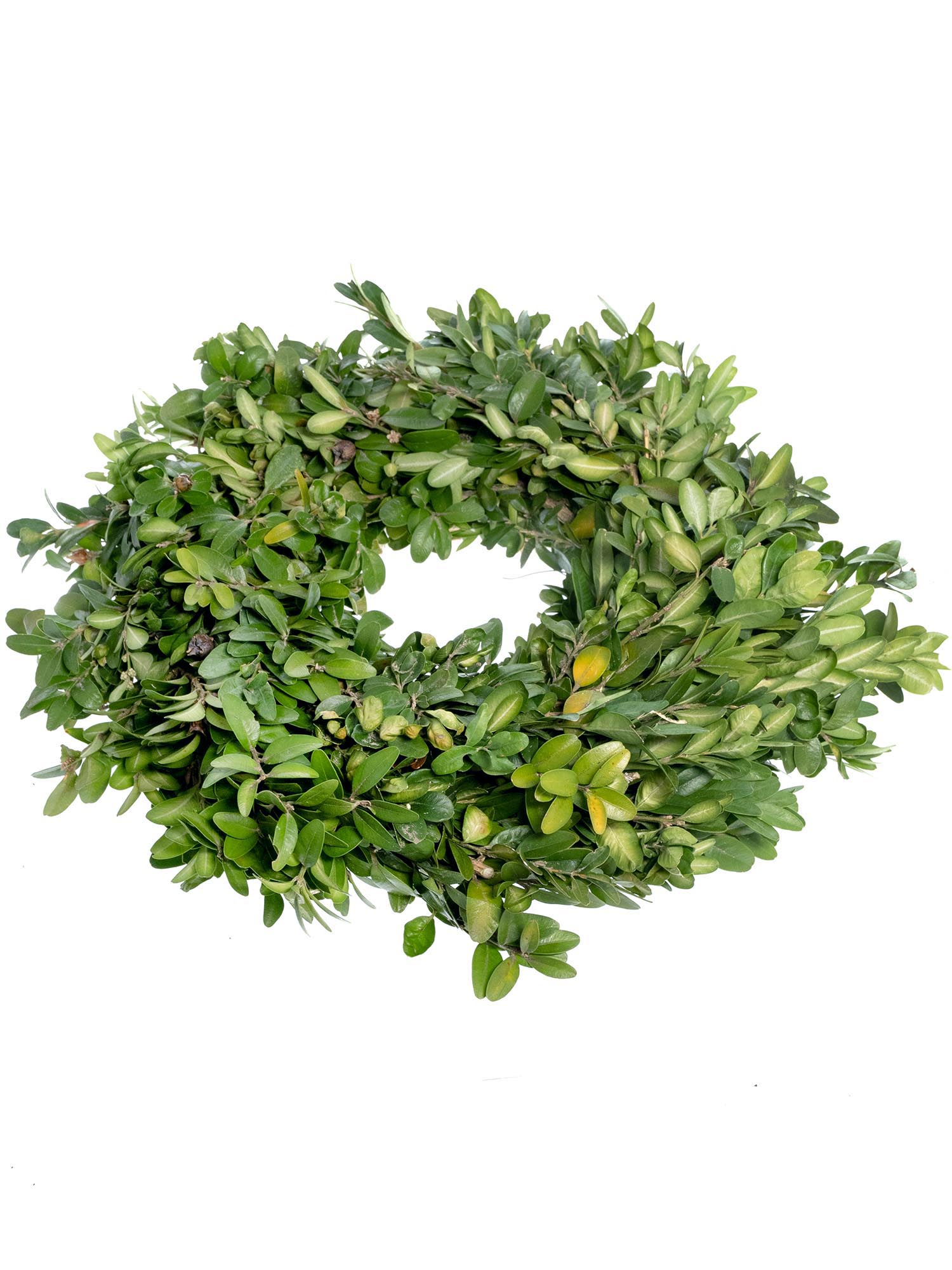 blumigo-blattwerk-buchsbaumkranz-30-cm-t-rkranz image 3
