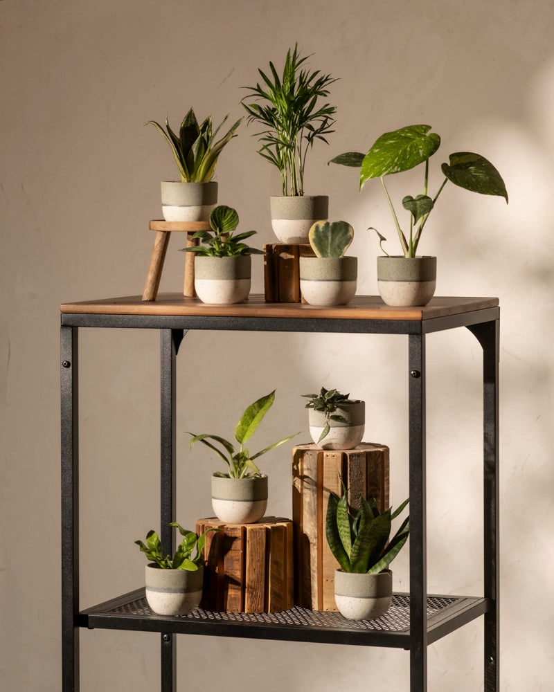 feey-variado-baby-blumentopf-set-gr-n-9-stk-keramik image 3