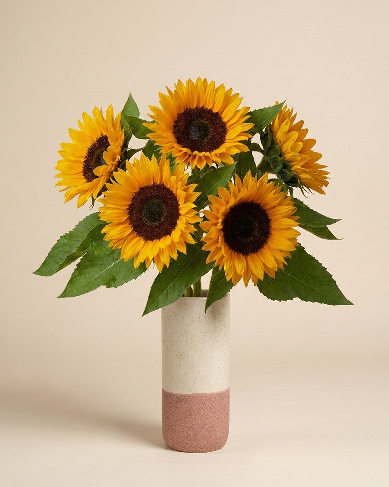 feey-sonnenblumen-strau-gelb-5-stk-schnittblumen image 8