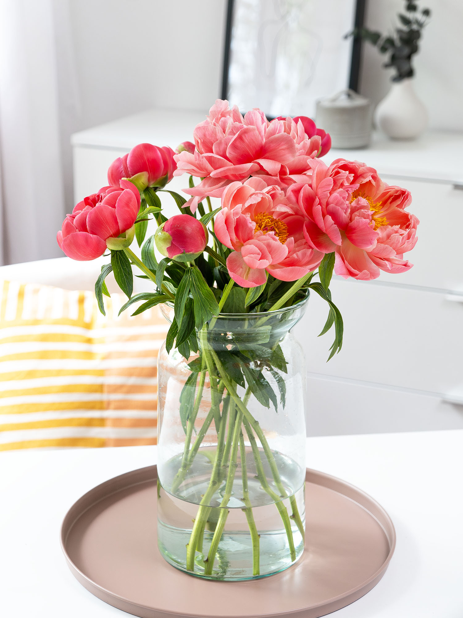 blumigo-pfingstrosen-coral-sunset-schnittblume-pink-creme image 4