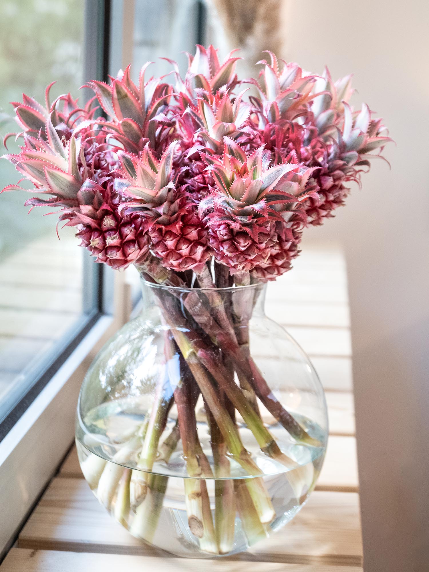 blumigo-zierananas-schnittfrucht-rot-pink-st-ck image 2